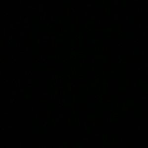 Meet your Posher, Selena